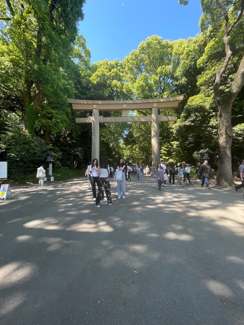 mensen aan grote tori poort in een park in Japan