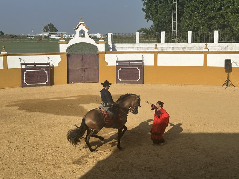 Cruise in Andalusië: raspaard in arena dansend met vrouw in lange rode jurk