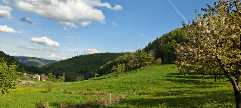 Paysage verdoyant et ciel bleu en Suisse.