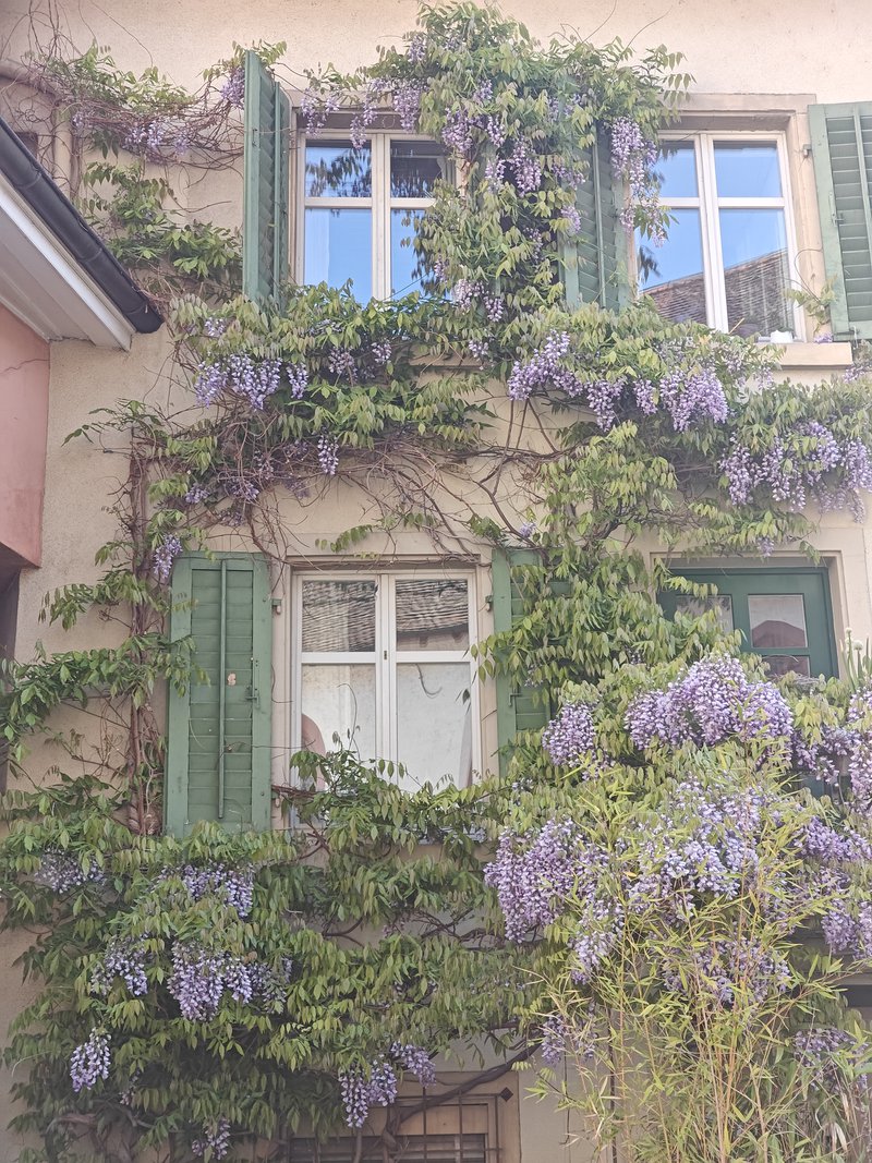 Suisse façade de maison fleurie.