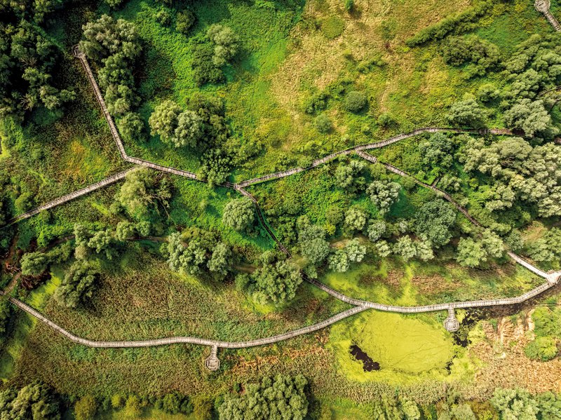 wandelpaden vanuit de lucht in groene natuur in Kroatie