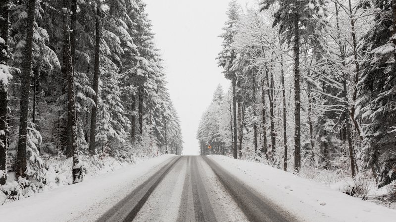 Route asphaltée rectiligne enneigée et bordée de grands arbres sous la neige, ciel couvert devant.