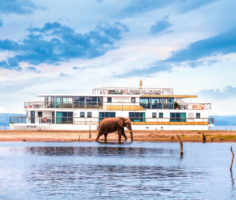 Croisieurope schip op een rivier met olifant op de voorgrond