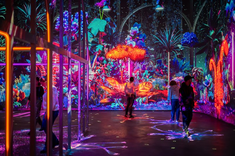 Visiteurs dans une pièce sombre avec un éclairage coloré futuriste.