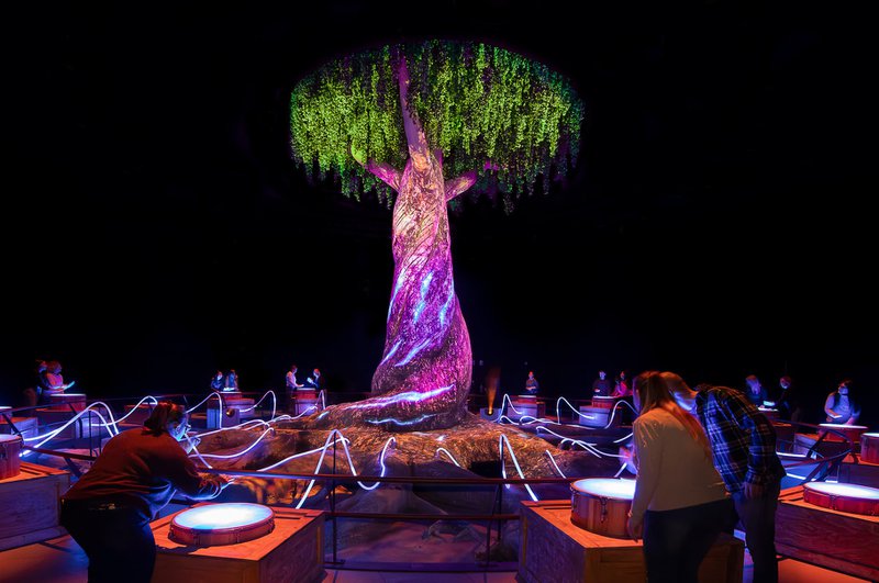 Pièce sombre avec un arbre virtuel éclairé  que les gens touchent.