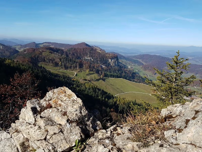 groene bergen in Zwitserland
